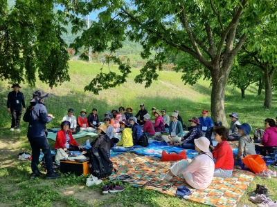 산림청 녹색자금 선정 프로그램 자연으로 떠나는 힐링 프로그램 ｢철철철, 모두 행복 숲｣4회차 청도(2024. 5. 21.) 
