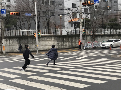노인사회활동지원사업 실시