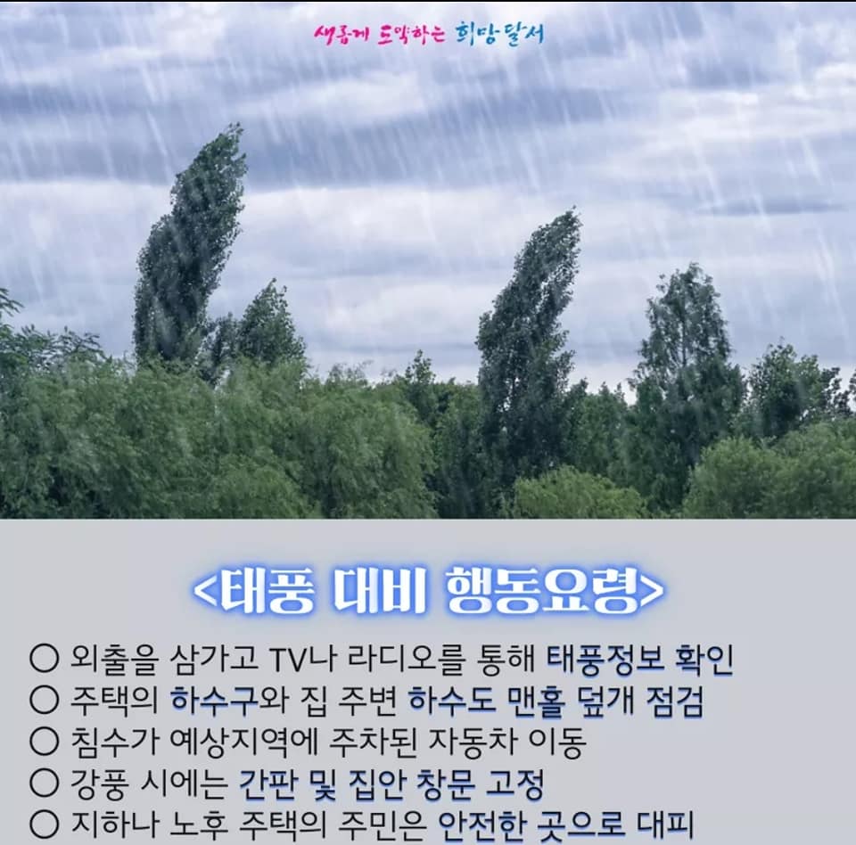 태풍 대비 청소 정비