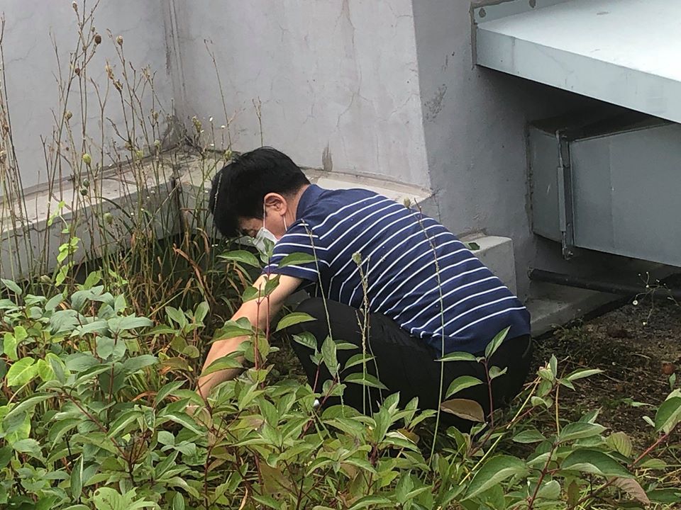하늘정원 제초작업